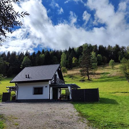 Lesny Zaulek Villa Muszyna Kültér fotó