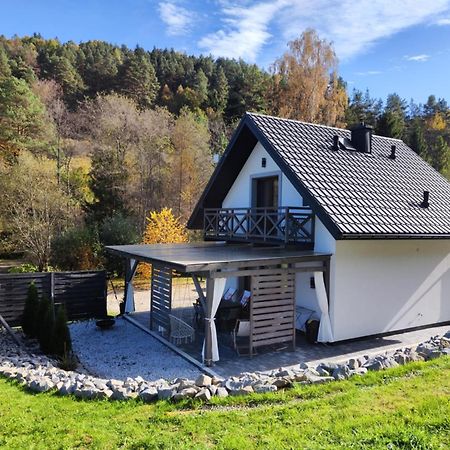 Lesny Zaulek Villa Muszyna Kültér fotó