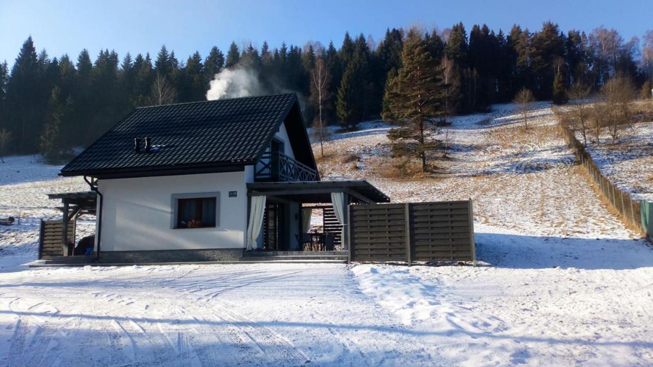 Lesny Zaulek Villa Muszyna Kültér fotó