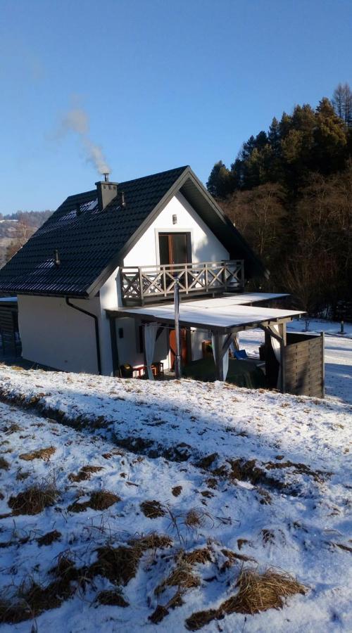 Lesny Zaulek Villa Muszyna Kültér fotó