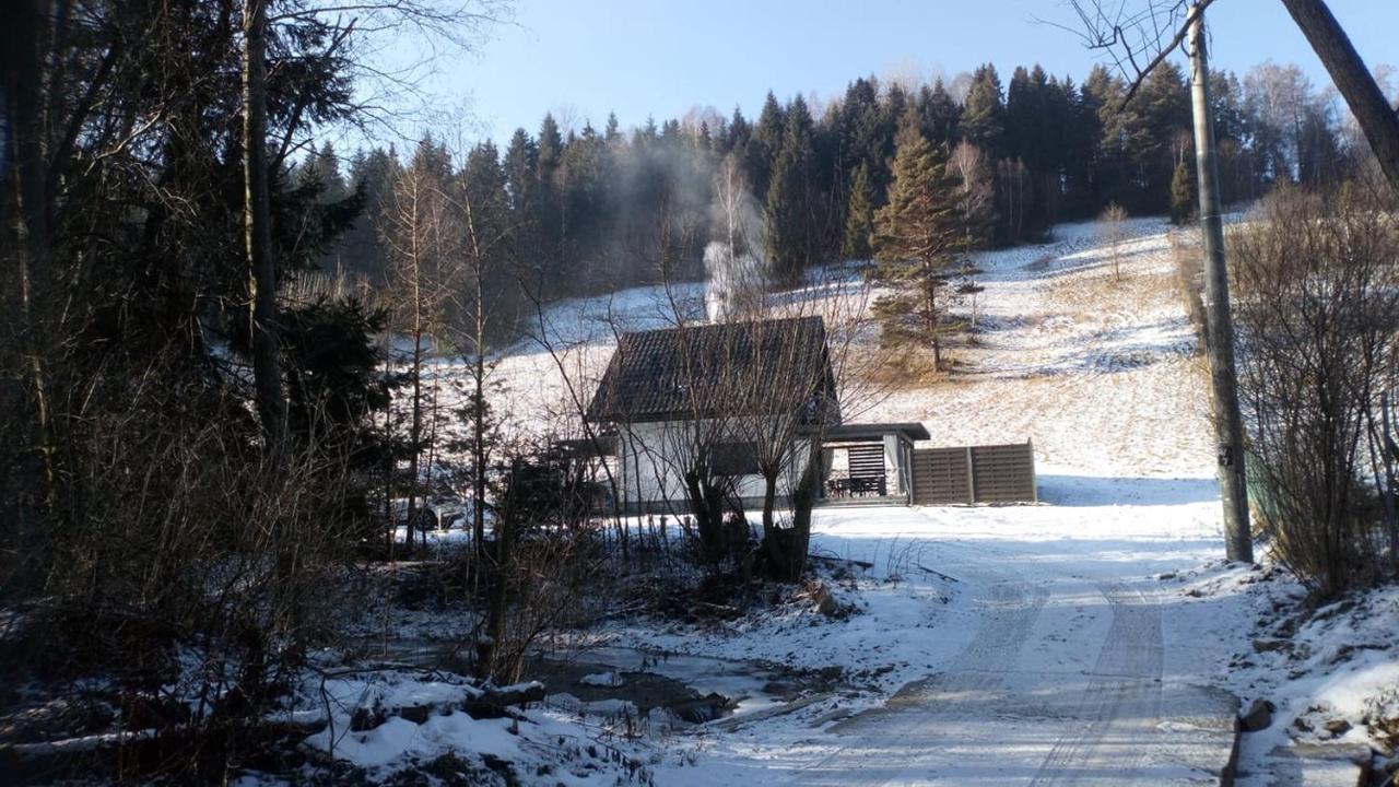 Lesny Zaulek Villa Muszyna Kültér fotó