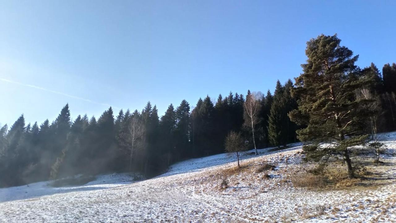 Lesny Zaulek Villa Muszyna Kültér fotó