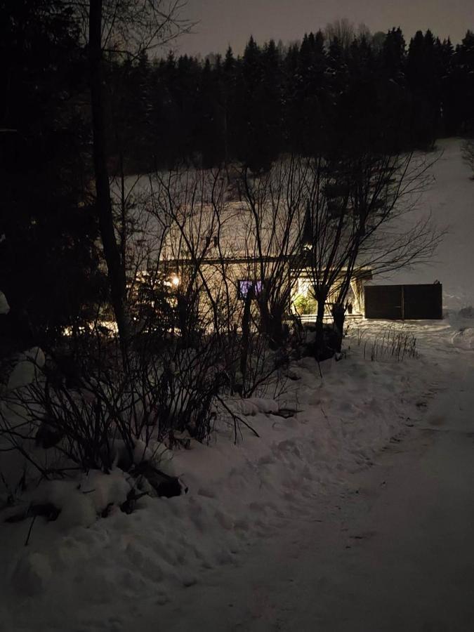 Lesny Zaulek Villa Muszyna Kültér fotó