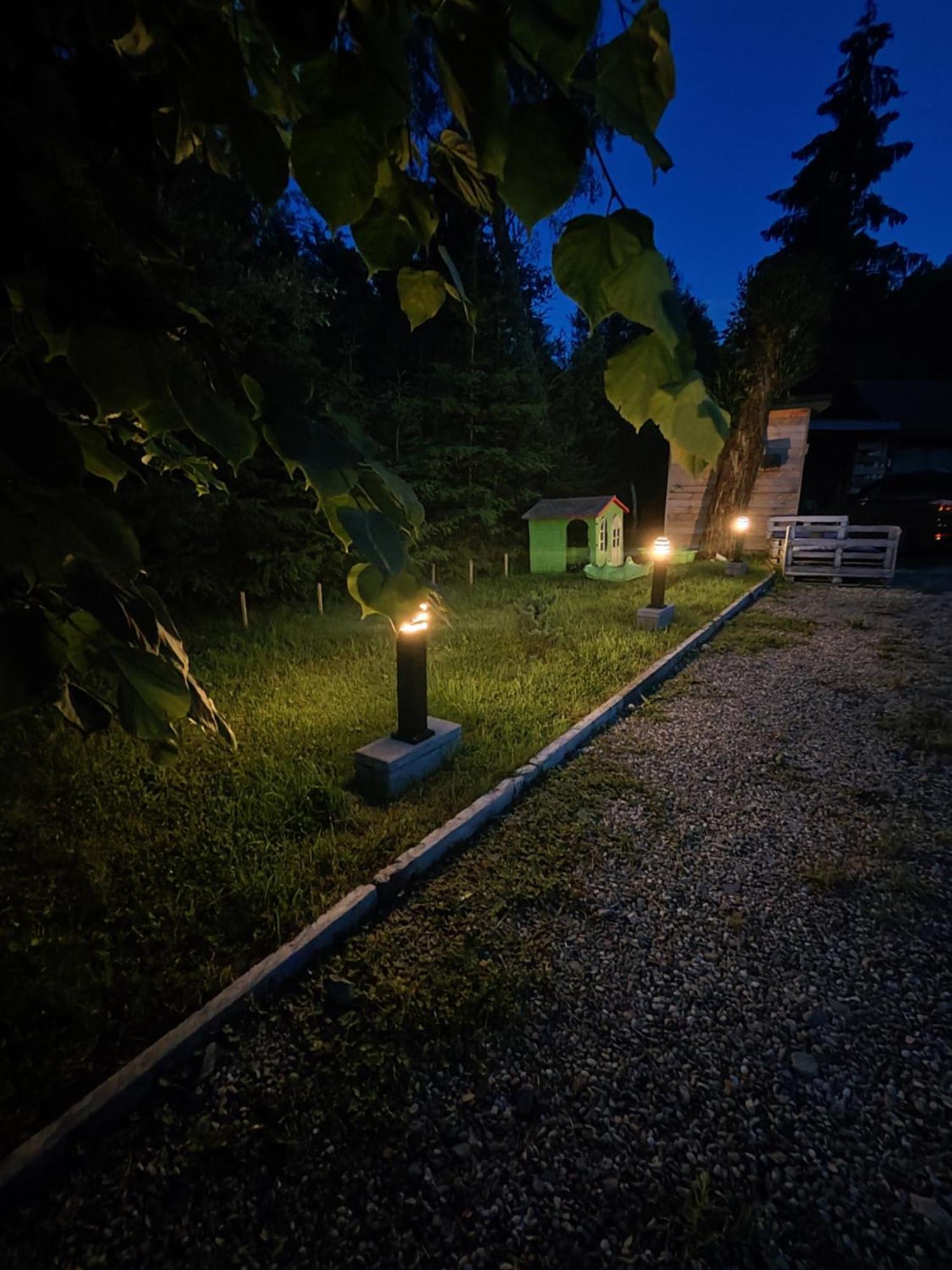 Lesny Zaulek Villa Muszyna Kültér fotó
