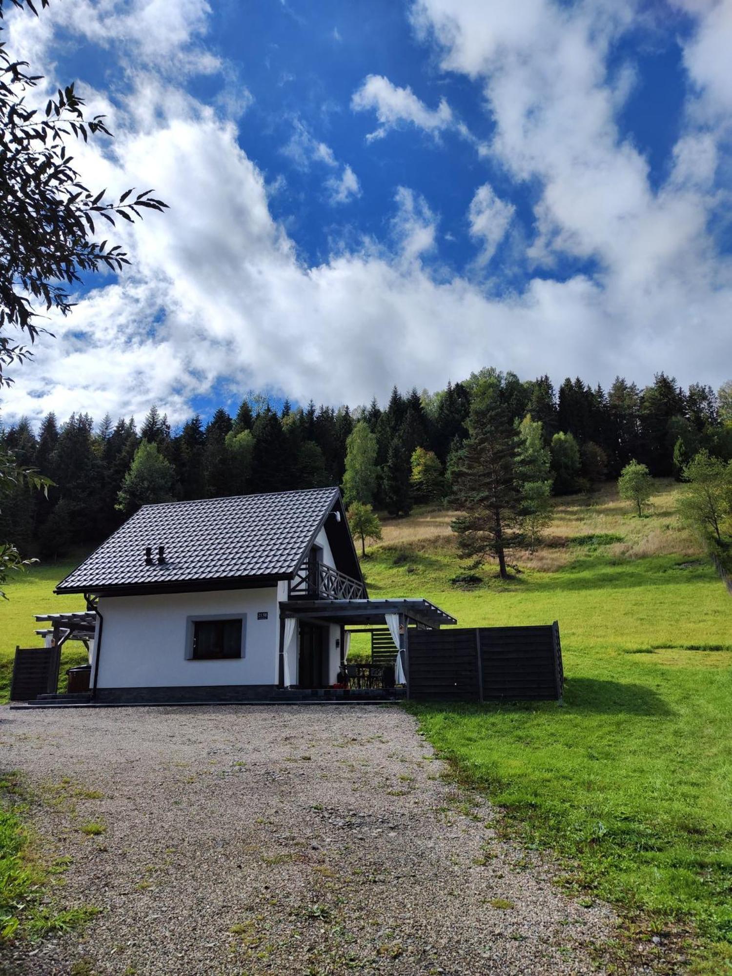 Lesny Zaulek Villa Muszyna Kültér fotó